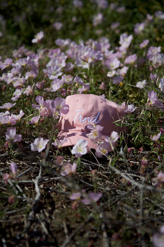 'DAD HAT'-PINK